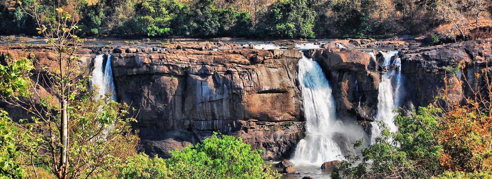  Kerala Holiday Packages: Relax in a Peaceful Backwater Escape