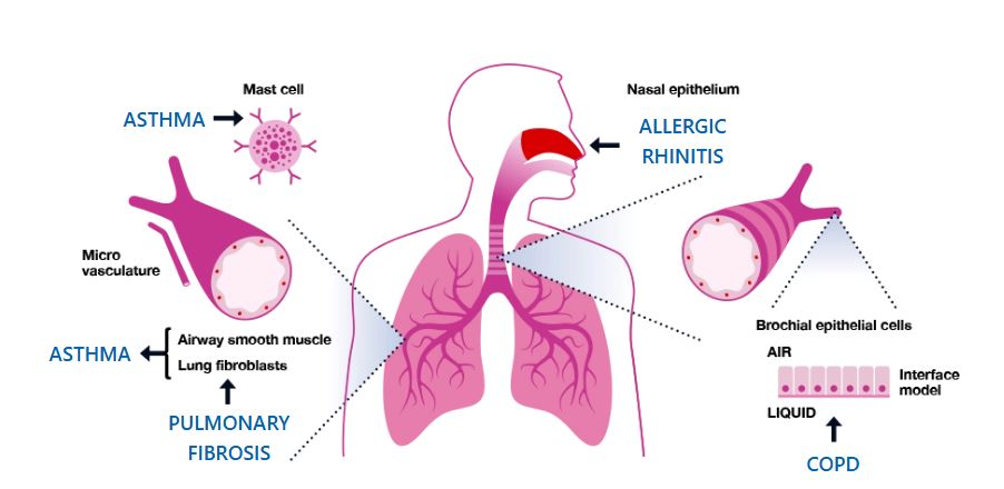  Trusted Research Support for Respiratory Drug Development