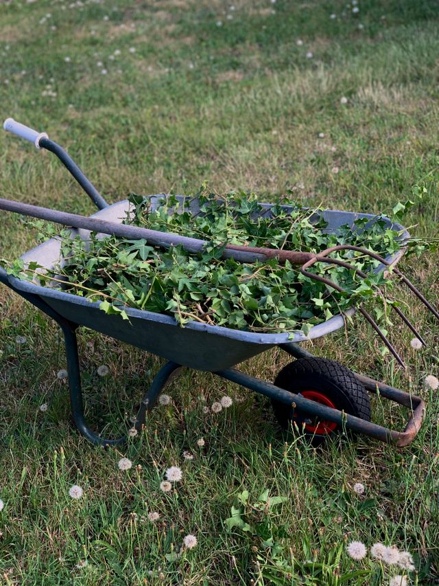  Vacant Lot Mowing & Grass Slashing | Fast & Affordable