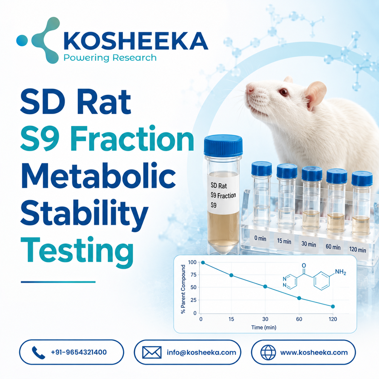  SD Rat S9 Fraction Metabolic Stability Testing