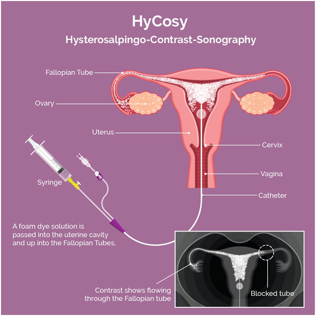  IVF and Genetic Testing in Abu Dhabi