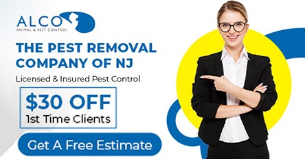  $30 OFF Your First Pest Control Service | ALCO Animal & Pest Control