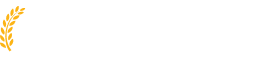  DDGS Dried Distillers Grains in India | Jurala