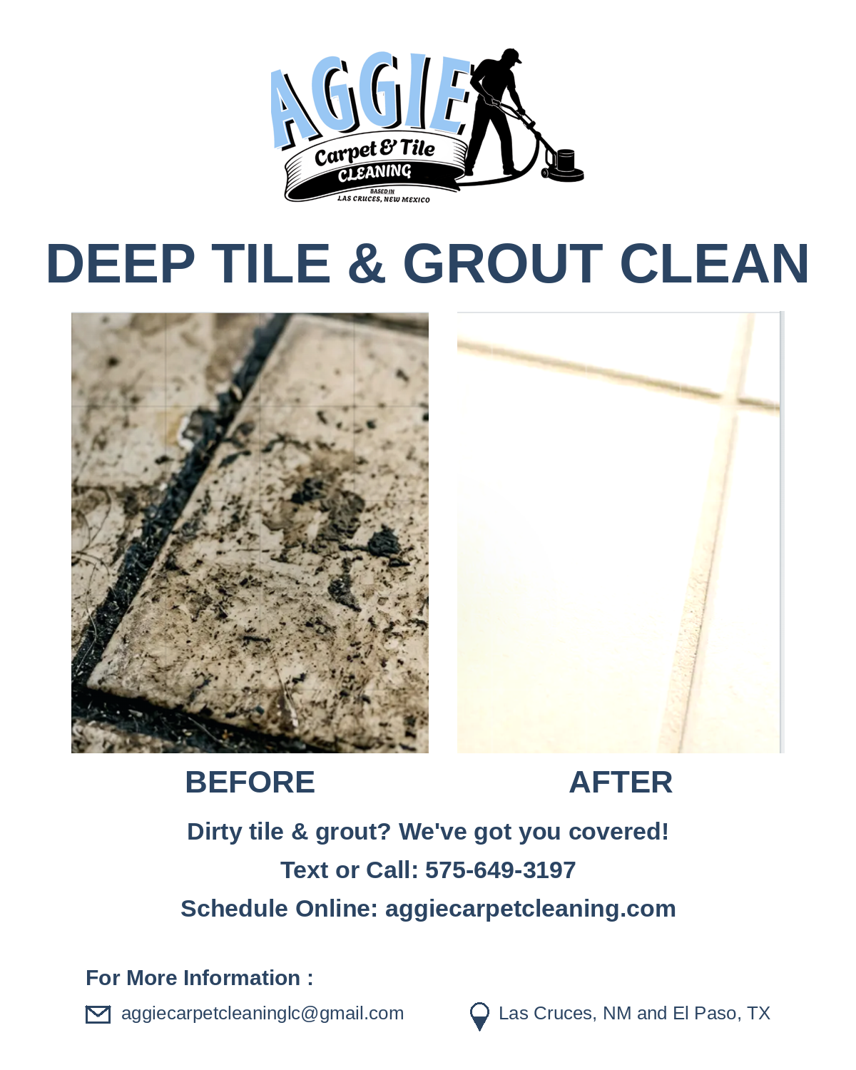  How Fast Does Mold Grow in Wet Carpet?
