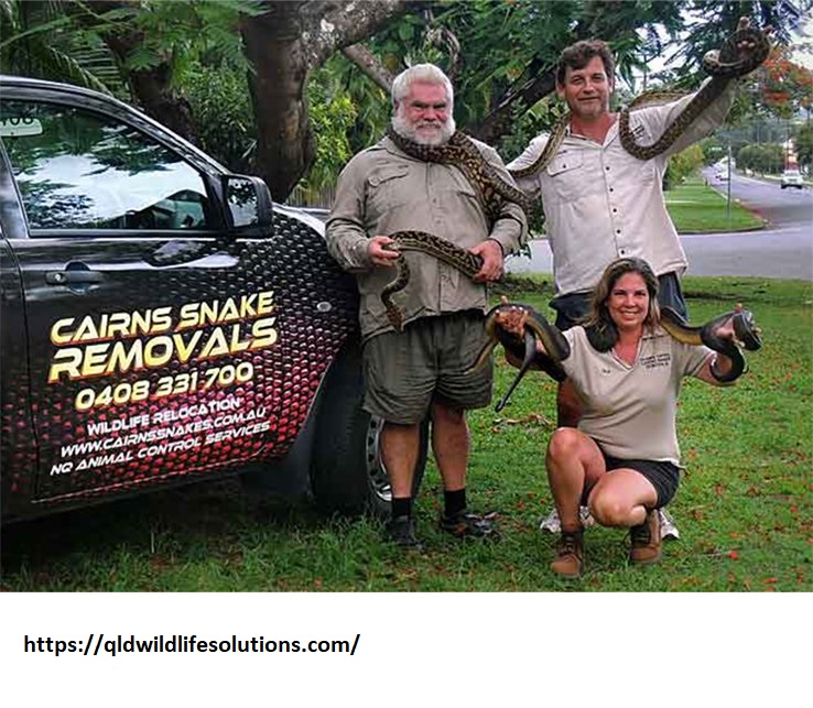  Fauna Spotter Catcher Queensland