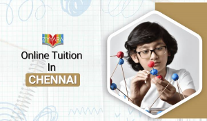  Online Tuition Chennai: Make Economics Theory Easier to Remember