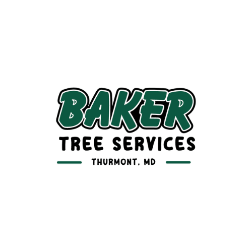  Tree Service Maryland for Safe Tree Care Throughout the Year
