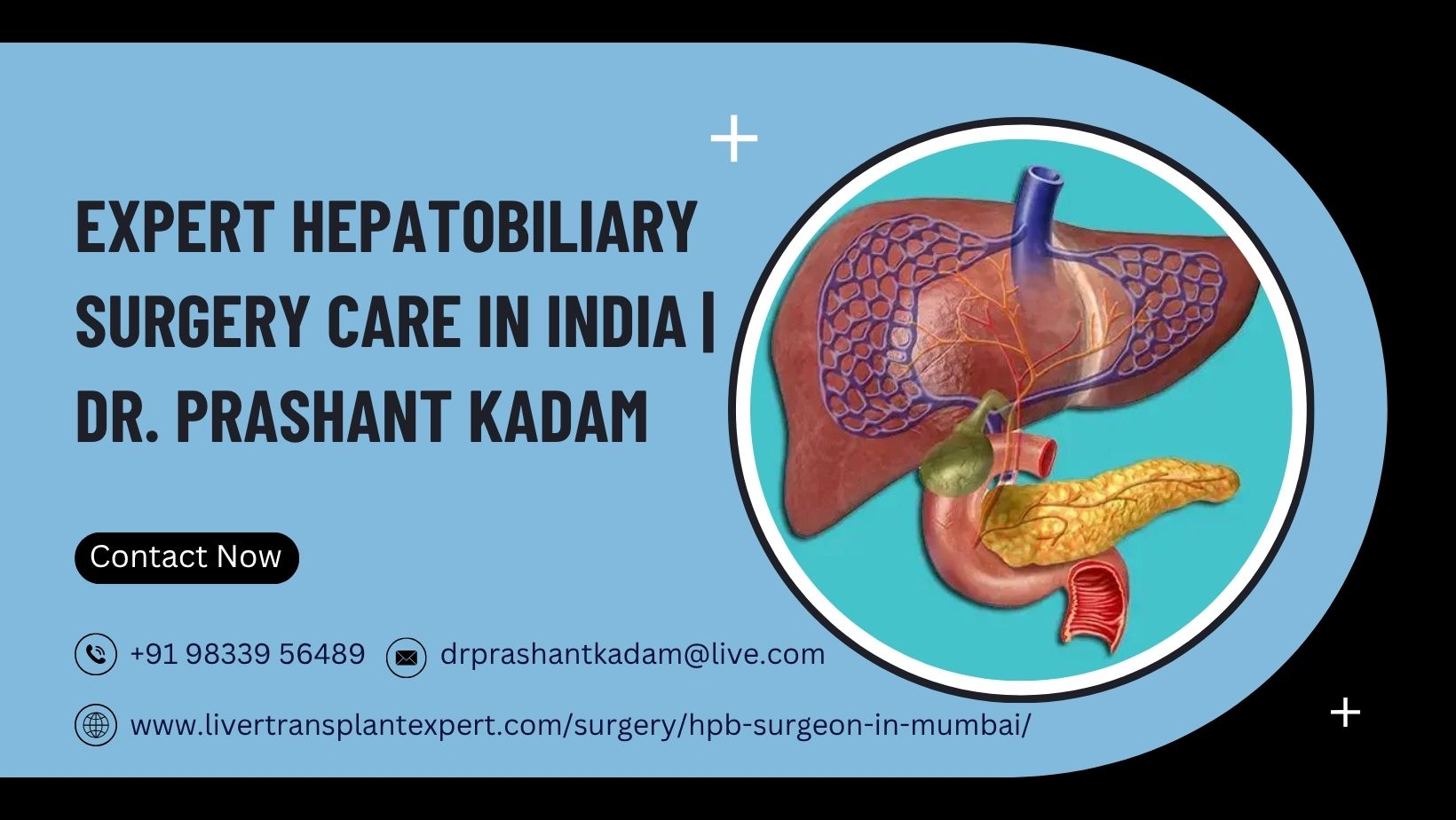  Expert Hepatobiliary Surgery Care in India | Dr. Prashant Kadam