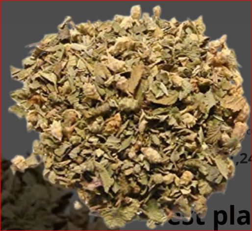  Buy Changa Online