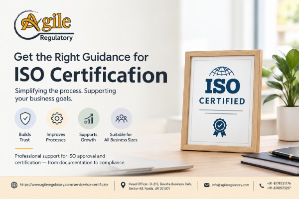  ISO Approval and Certification Services for Small Businesses