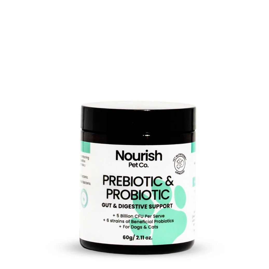  Buy Pet Pre-Built Supplement Bundles for Everyday Wellness