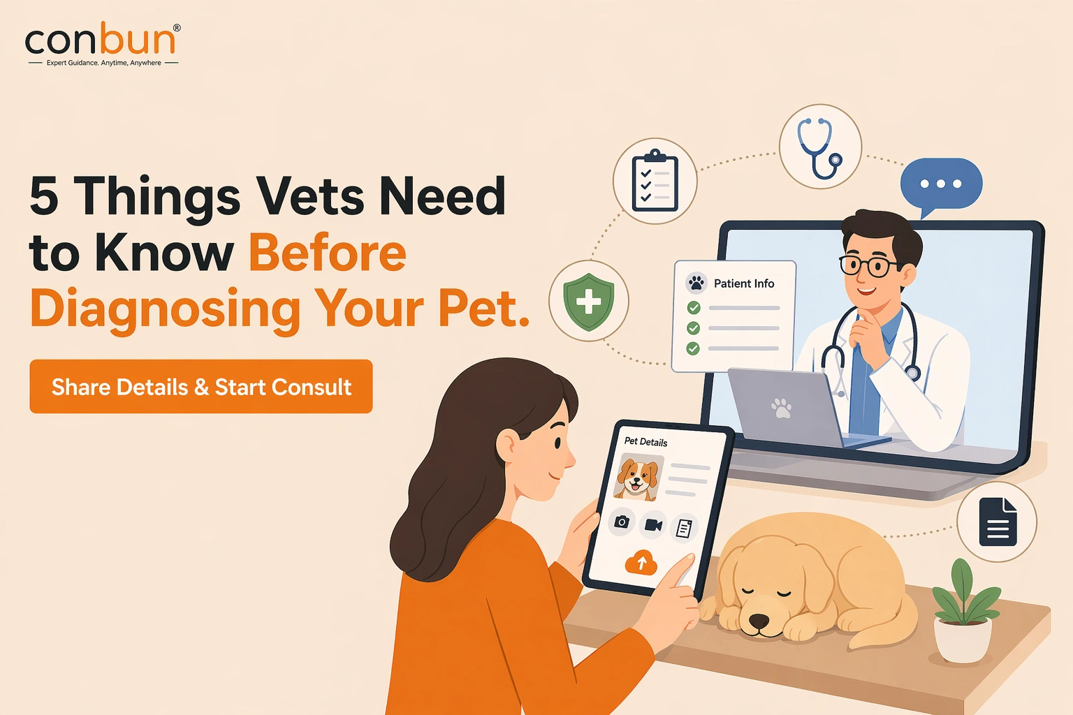  5 Things Vets Need to Know Before Diagnosing Your Pet