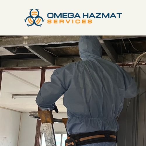  Asbestos Removal Hornsby Safe and Professional Solutions for Your Property