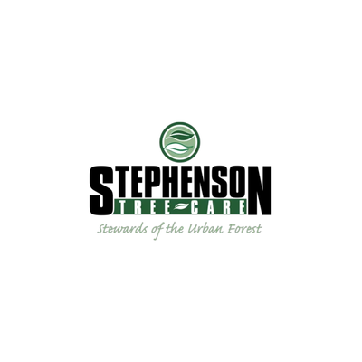  Local Tree Contractors Near Me for Quality Tree Work and Property Safety