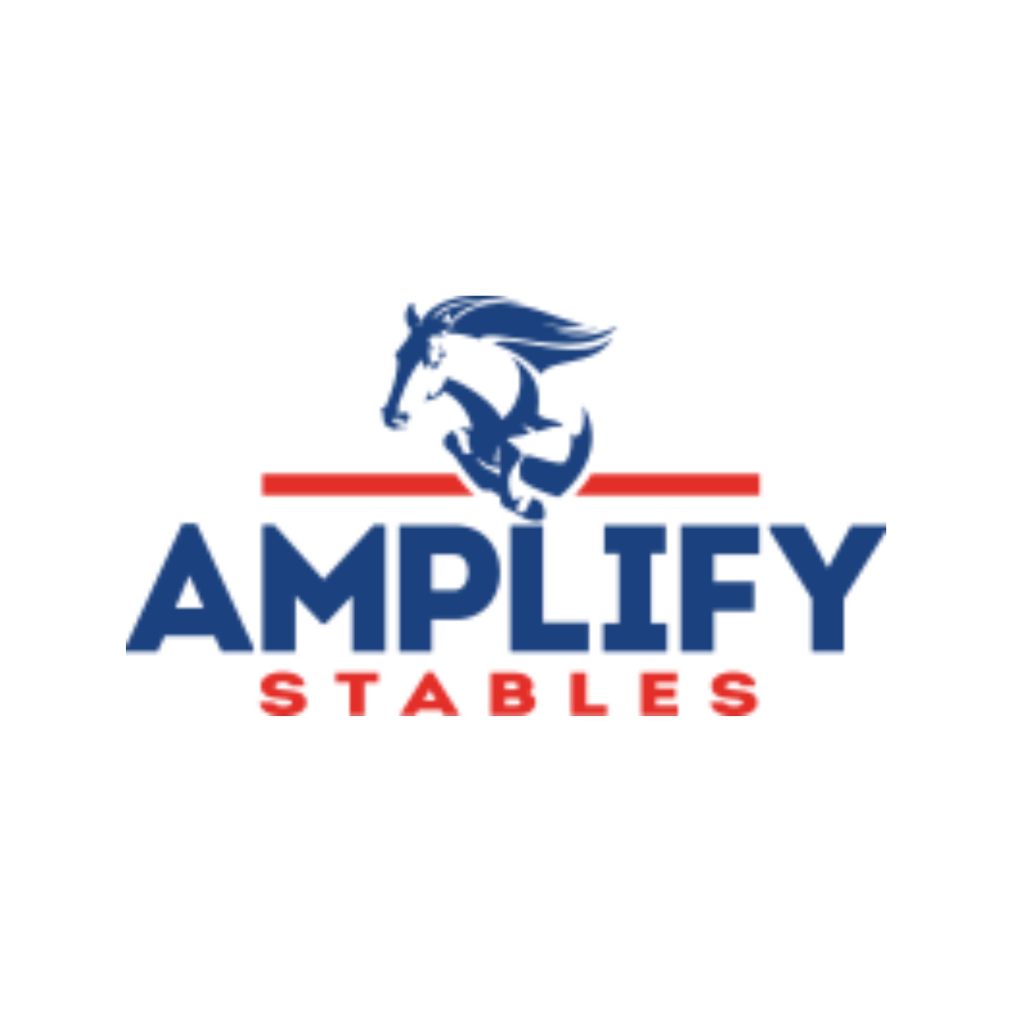  Horses for sale in ontario with Amplify Stables