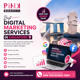  Best Video Marketing Services in Singapore | Pink Shadow Media