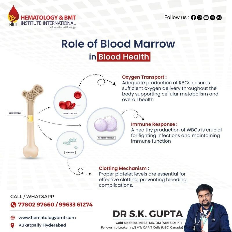  Clinical Hematologist – Advanced Blood Disorder Care by Dr. S K Guptha