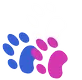  Veterinarians Kitchener – Bruce Street Animal Hospital & Dr. Anshul Jindal