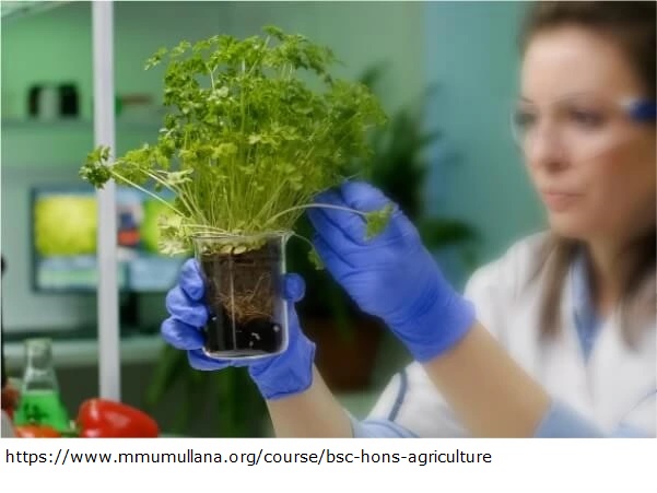  B sc hons agriculture colleges in haryana
