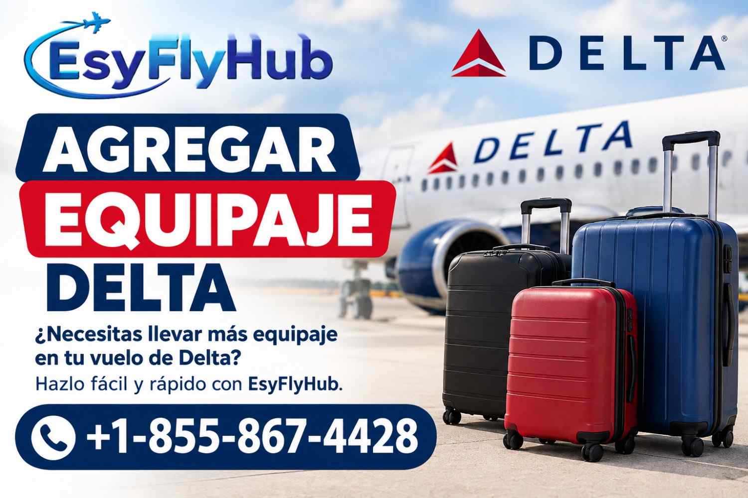  ¿Cómo agregar equipaje en Delta Airlines?