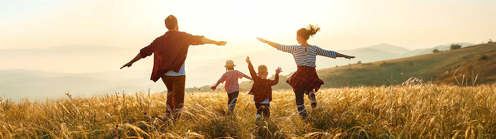  Structured Wellness Support for Sustainable Changes