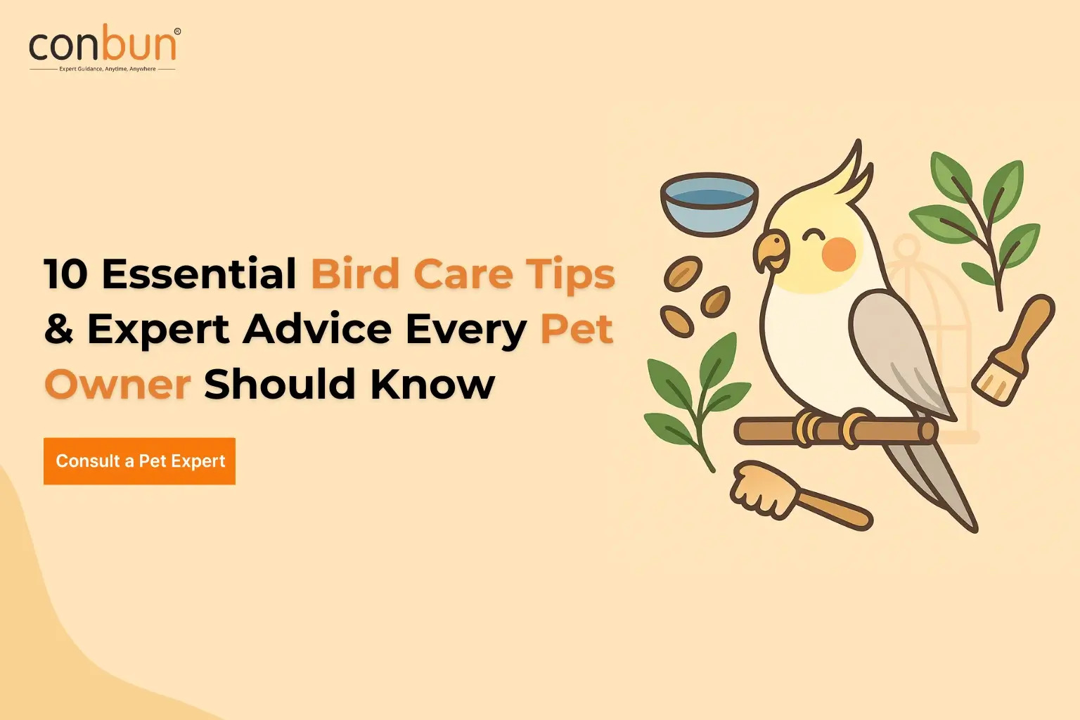  10 Essential Bird Care Tips & Expert Advice Every Pet Owner Should Know