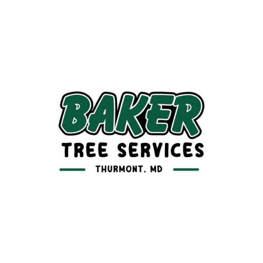  Expert Tree Services Near Me Helping Maryland Properties Stay Safe