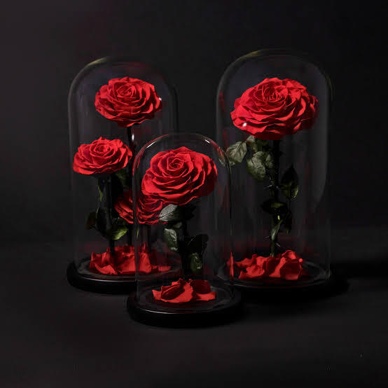  Luxury Roses Birmingham for Elegant and Memorable Gifts