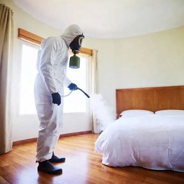  Bed Bug Treatment