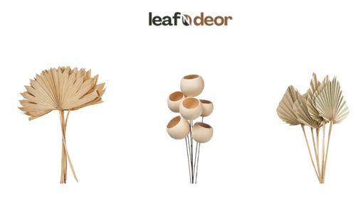  Buy Dried Flowers in Bulk from LeafnDeor