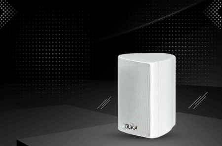  IP55 Wall-Mount Weatherproof Speaker | Ooka Audio