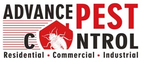  Advance Pest Control