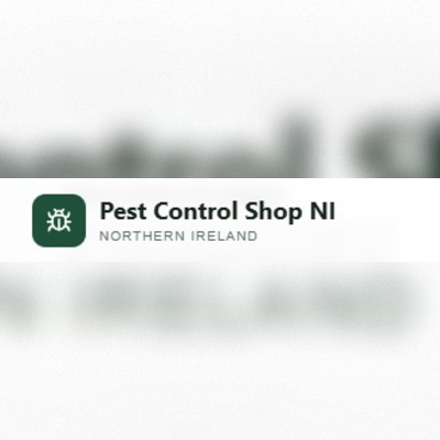  Looking for Rat Traps for Sale in Bangor?