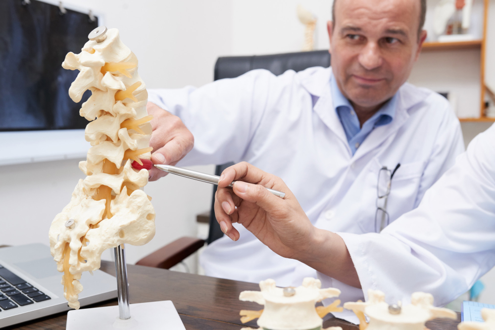  Expert Anterior Cervical Discectomy and Fusion Evaluation