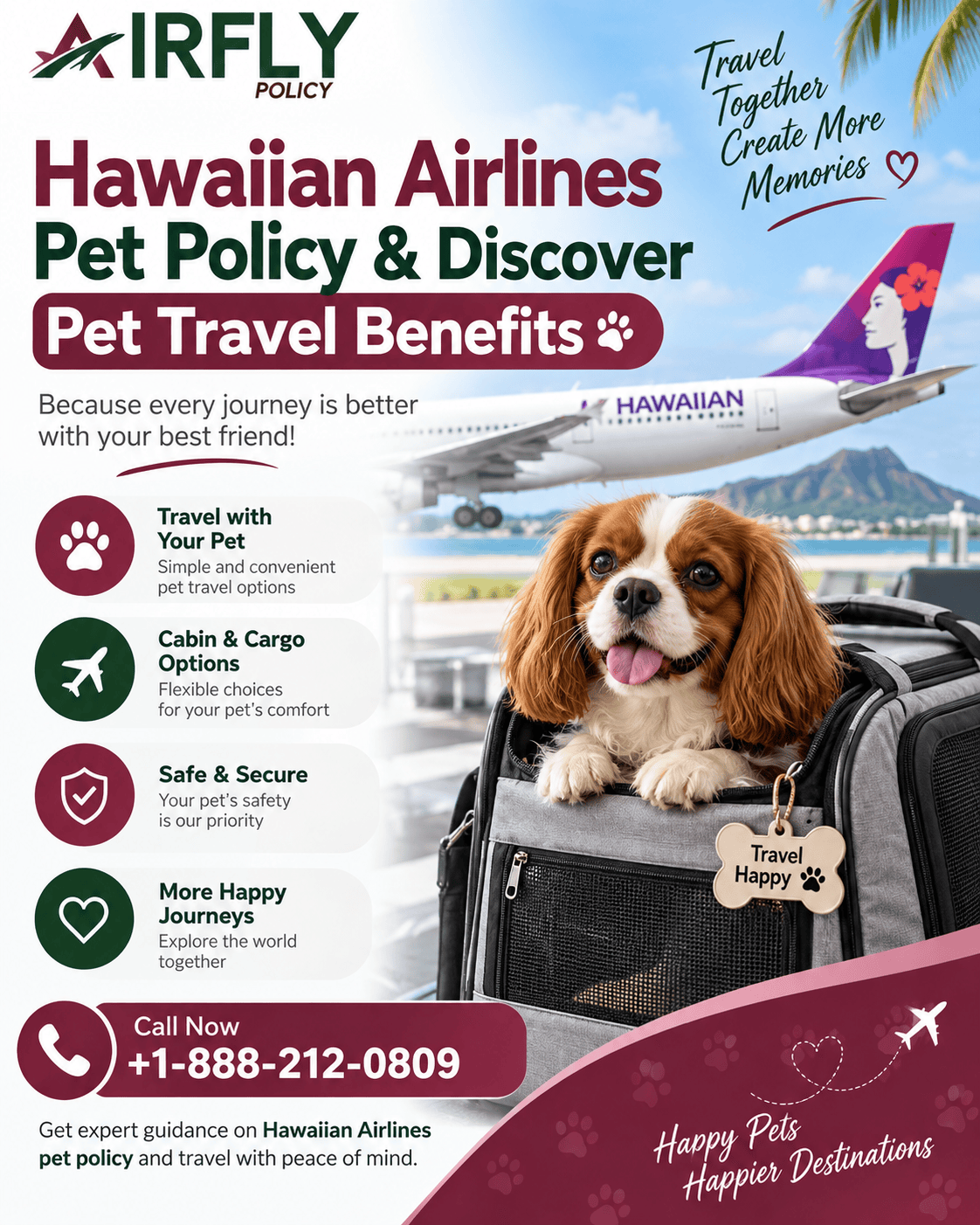  Hawaiian Airlines Pet Policy & Discover Pet Travel Benefits