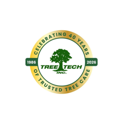  Professional Tree Care Services Near Me from Certified Arborist Experts