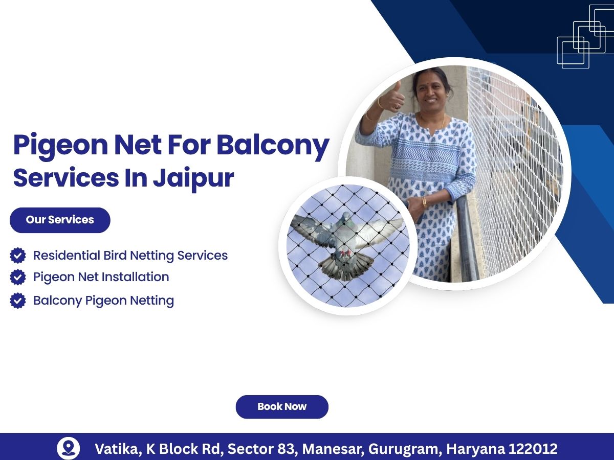  Best Pigeon Net For Balcony Services In Gurugram