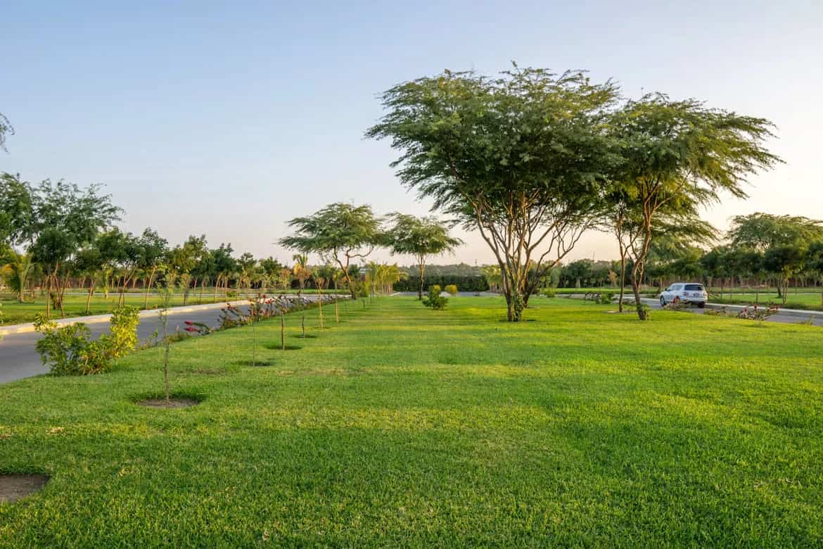  Evara Greens Plots in Gurgaon – Price, Size & Location Guide