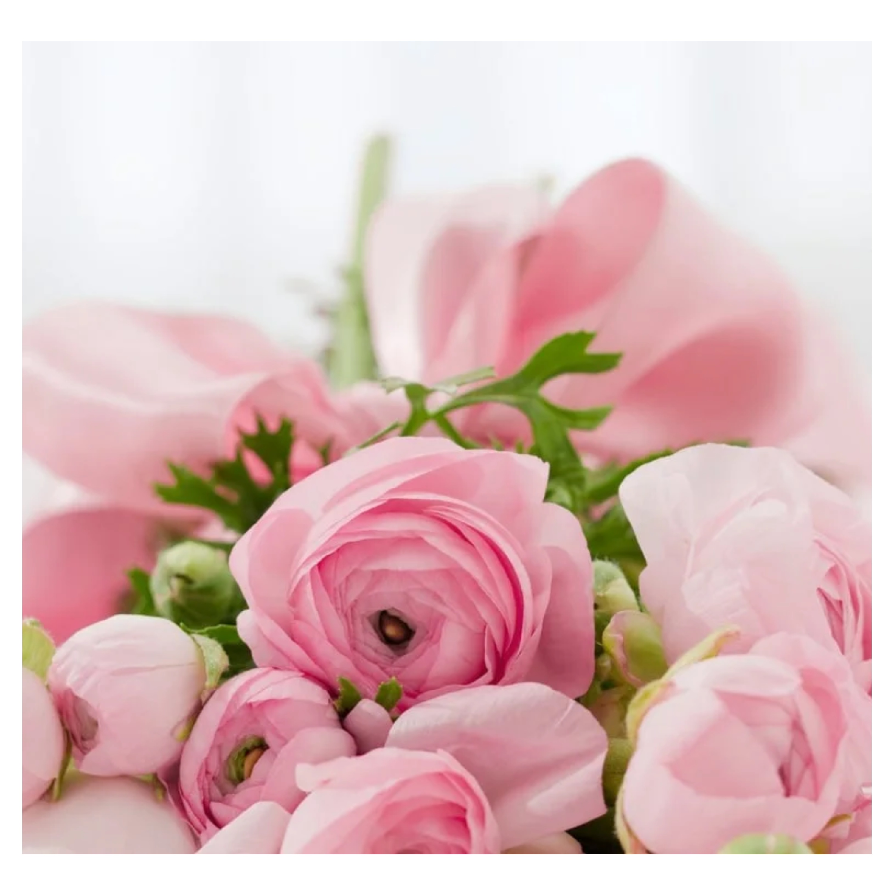  Share Kindness with Flower Delivery to Childrens Recovery Center