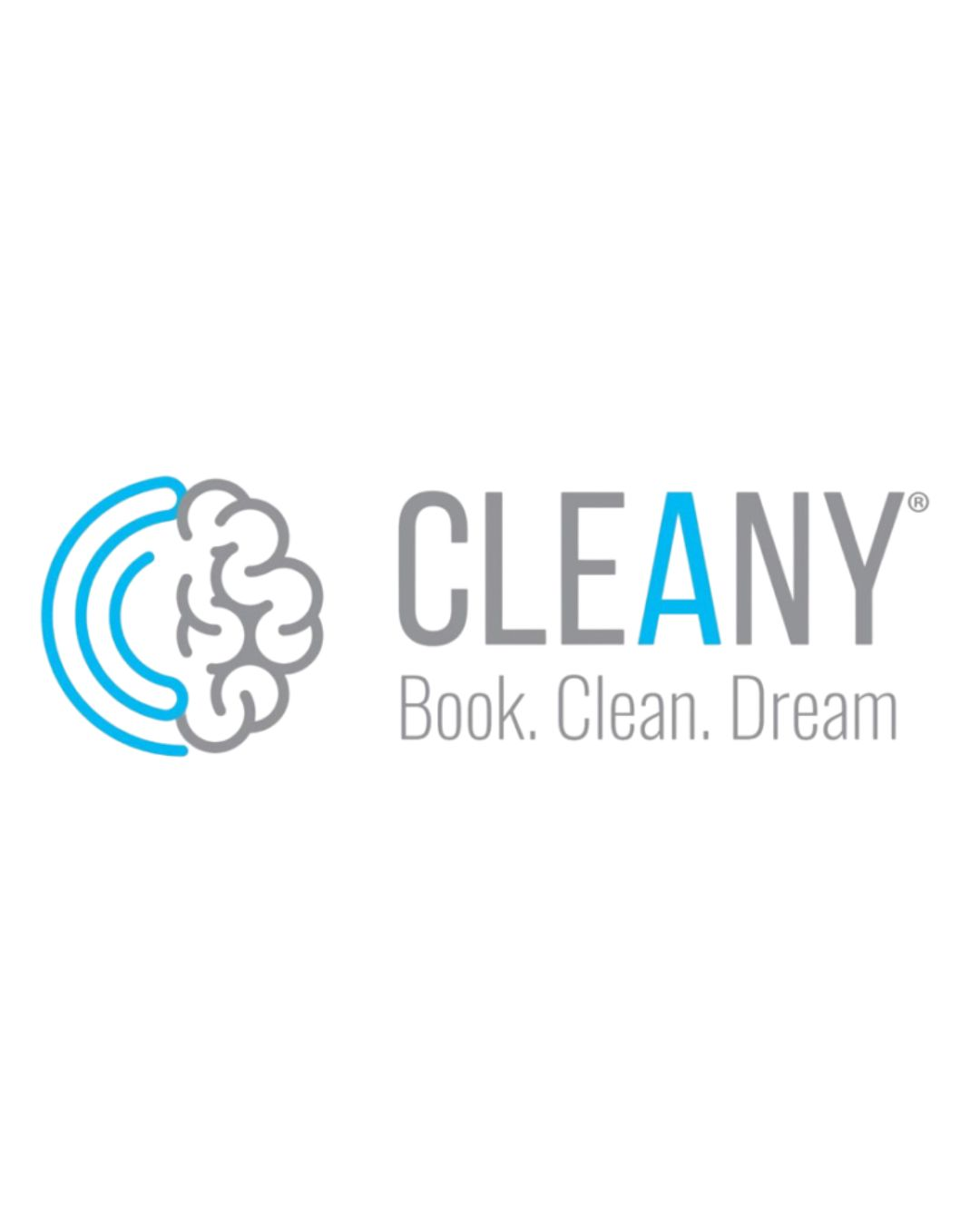  Cleany Franchise Inc.