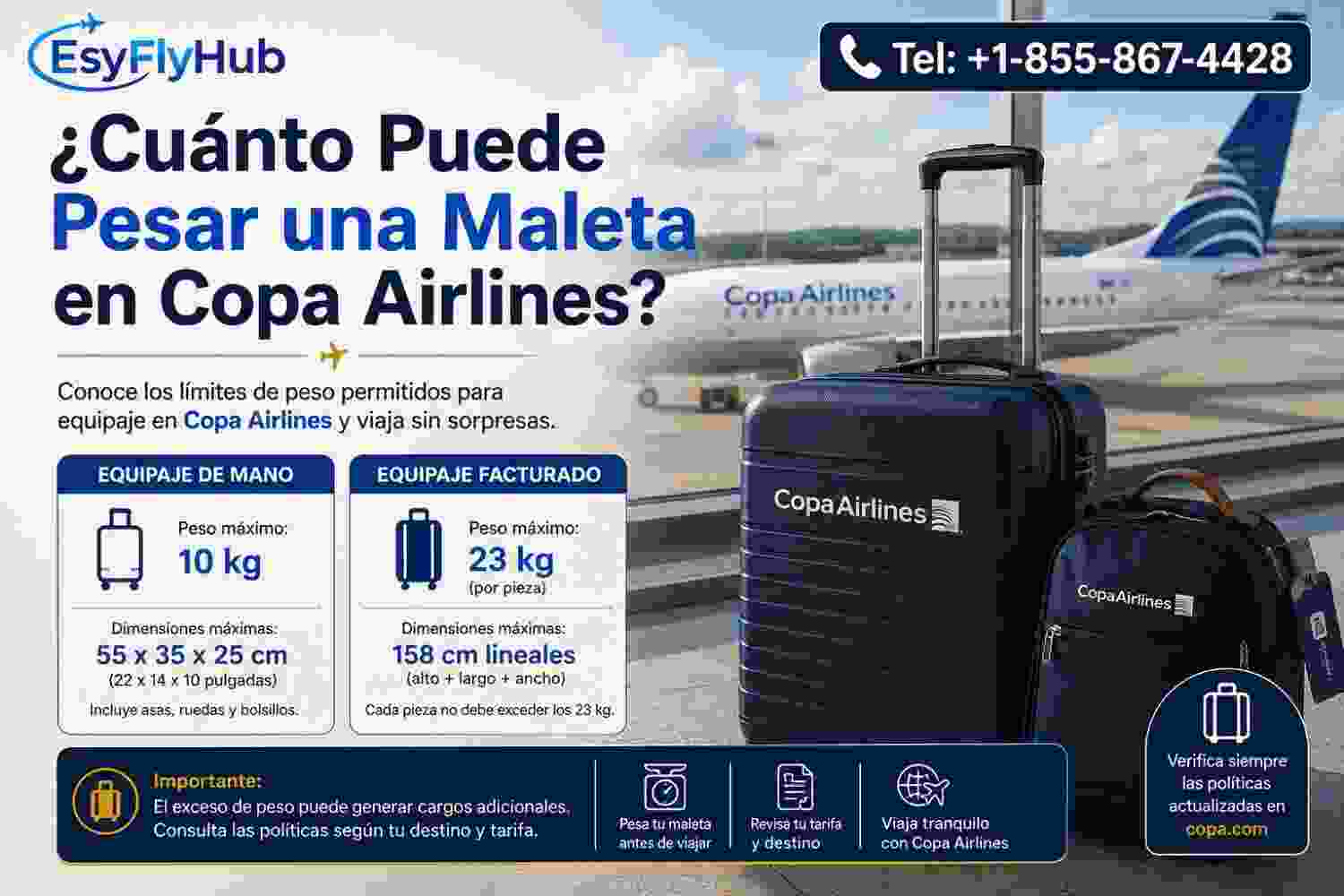  ¿Cuánto cuesta una maleta adicional en Copa Airlines?