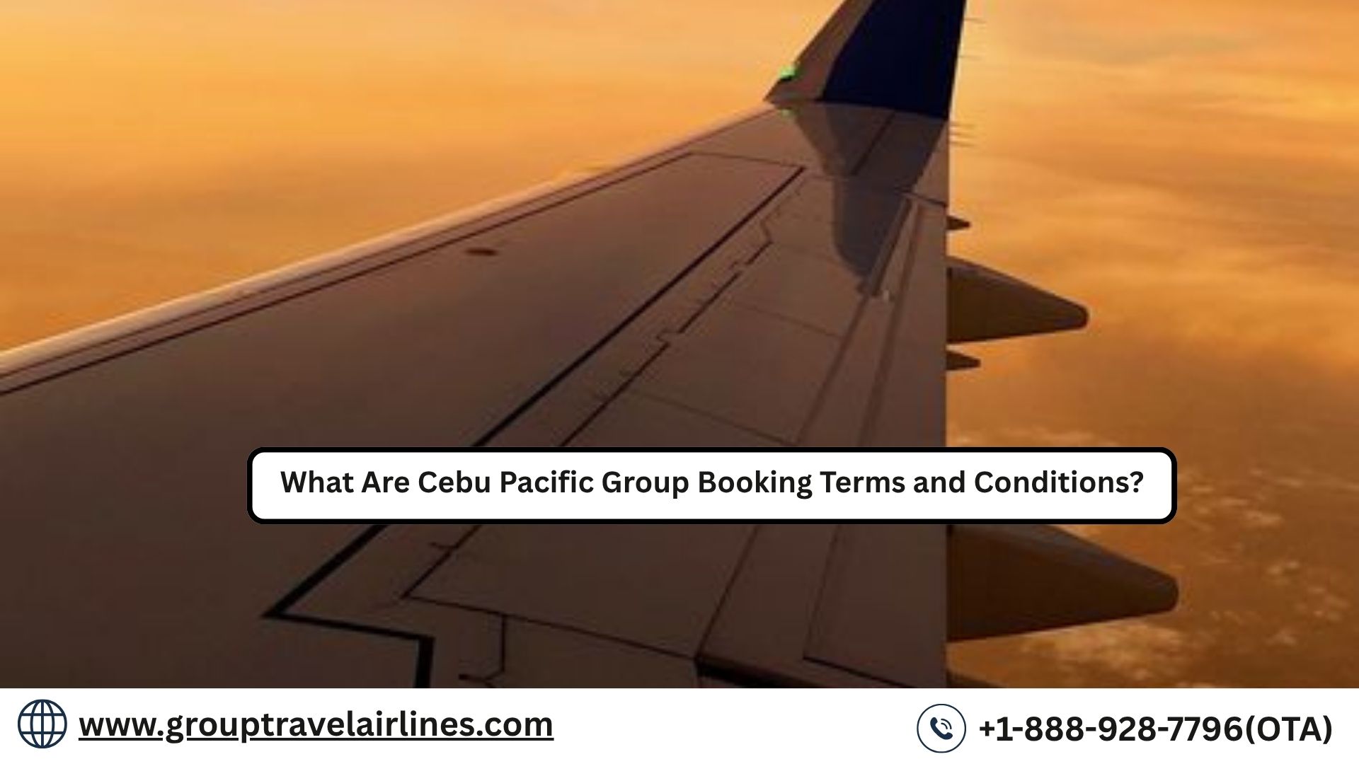  What Are Cebu Pacific Group Booking Terms and Conditions?