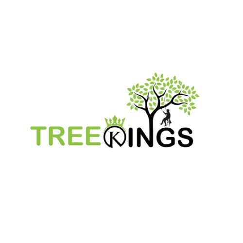  TREE KINGS