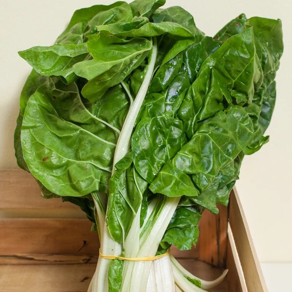  Swiss Chard Giant Fordhook Seeds | Heirloom Garden Favorite