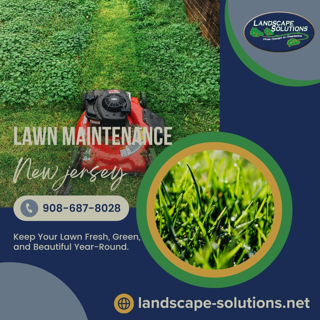  Lawn Maintenance in NJ