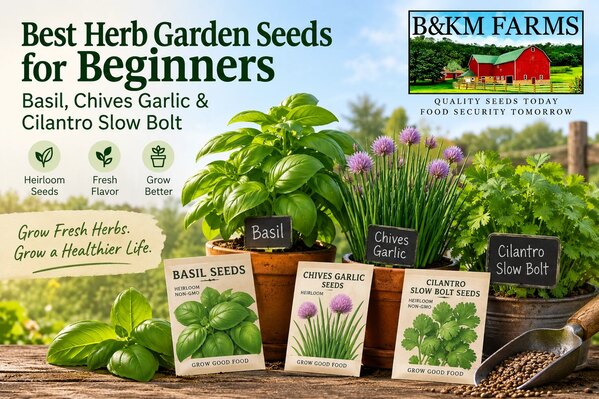  Best Herb Garden Seeds for Beginners | Basil, Chives & Cilantro – B&KM Farms