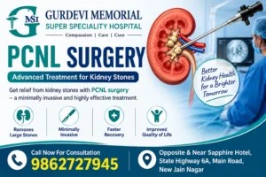  PCNL Surgery with Patient-Focused Urology Care