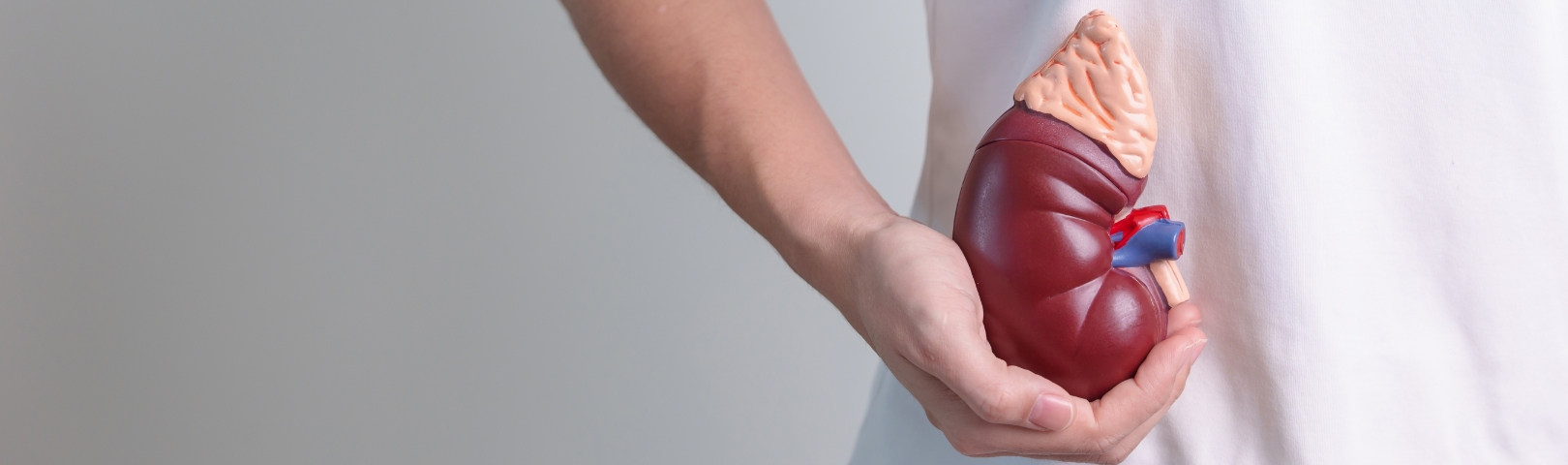  Trusted Kidney Transplant Referral & Support Services
