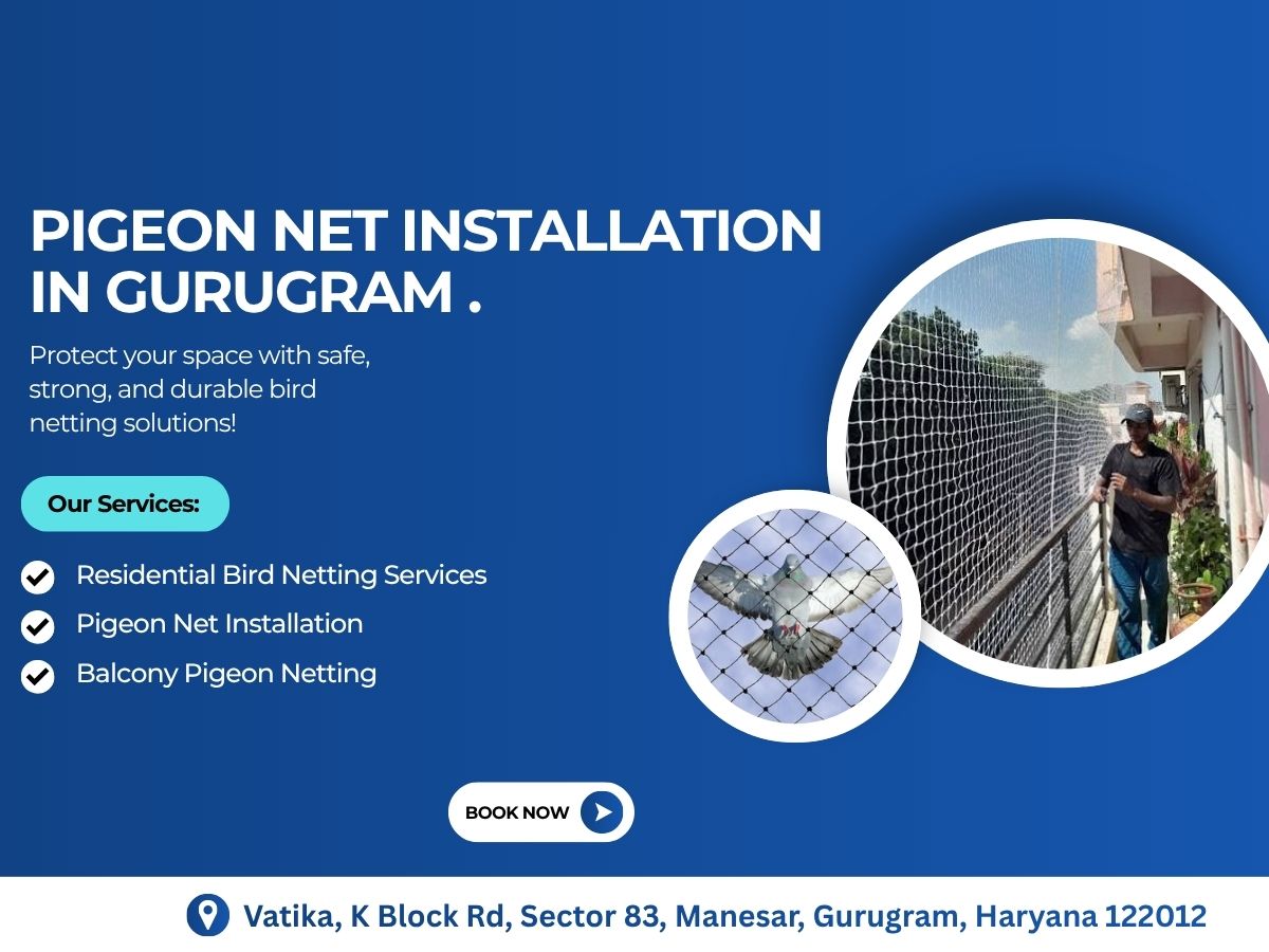  Quality Pigeon Net Instalition in Gurugram