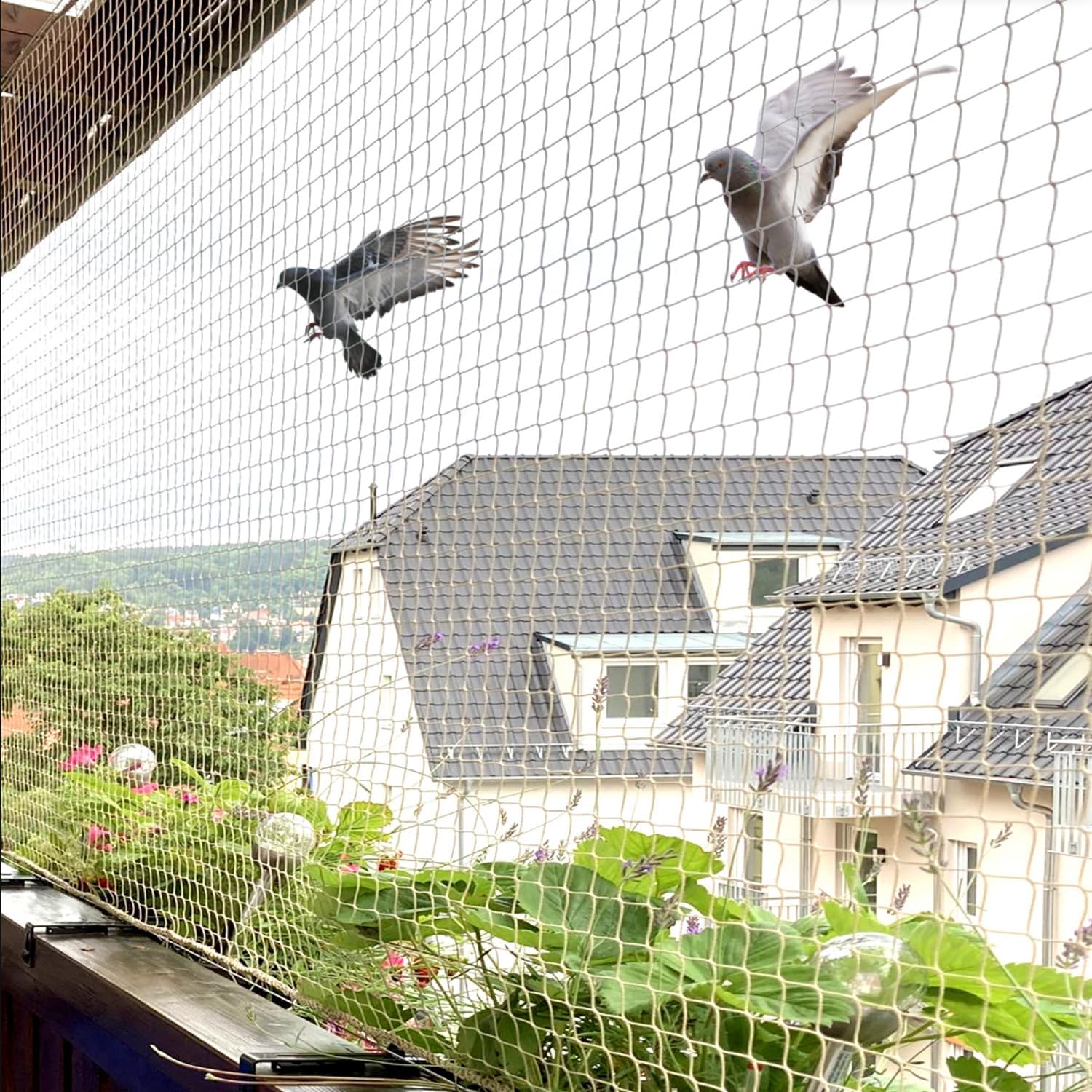  Pigeon net in bangalore